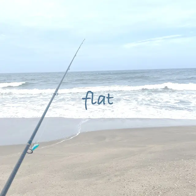 flat のジャケット