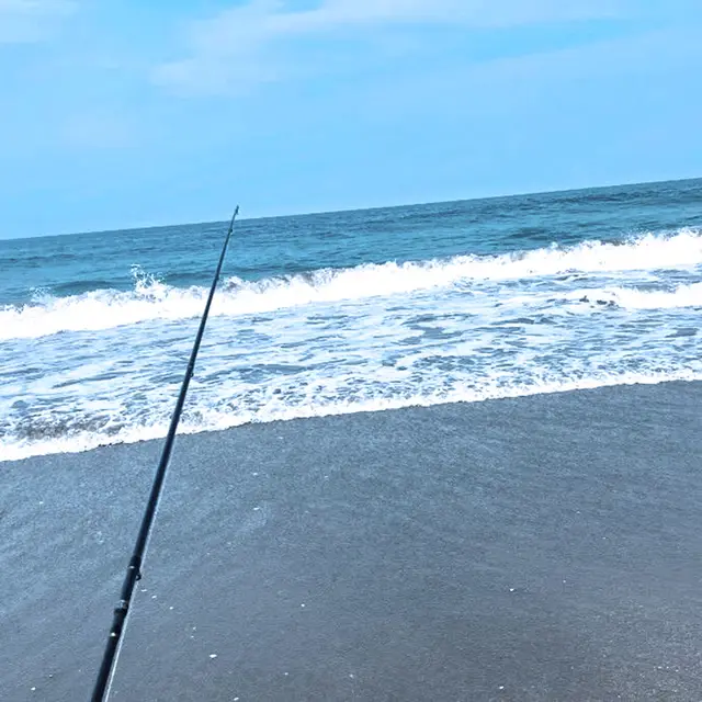jigging のジャケット