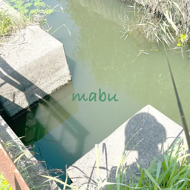 mabu のジャケット
