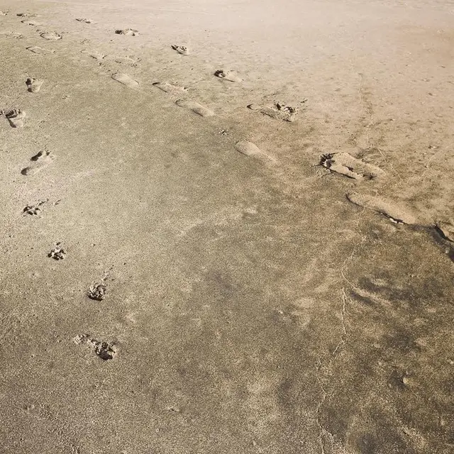 Step Into the Unknown のジャケット
