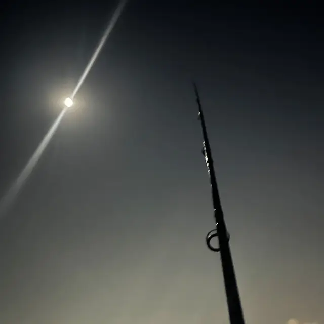 Swordfish のジャケット